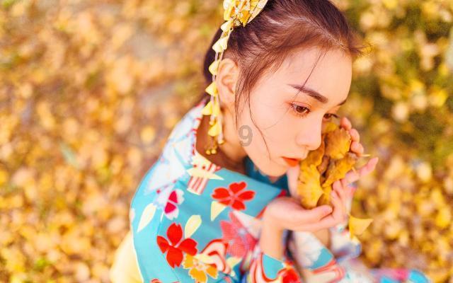 小猫钓鱼正版下载中文版