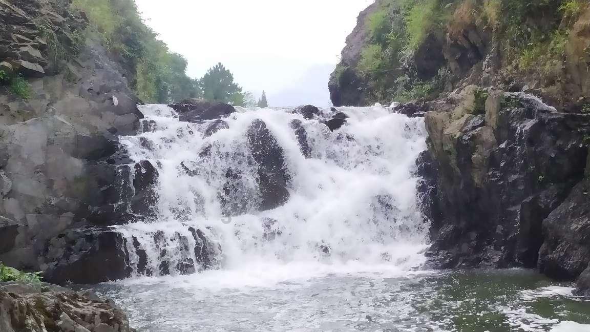 春雨直播app