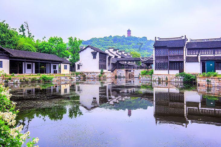全民烧脑3去广告版