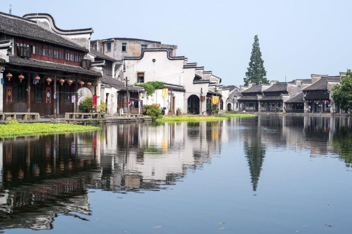 动物帮帮忙保卫家园
